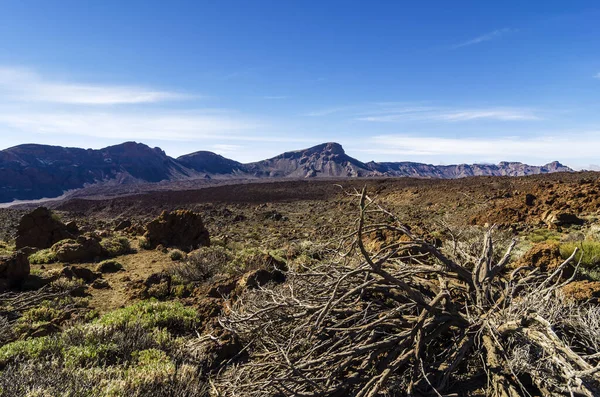 Picturesque View Outdoor Scene — Stock Photo, Image