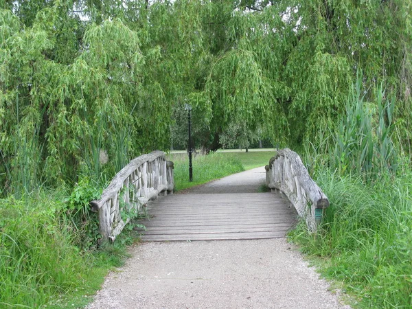 Parque Verde Schwerin —  Fotos de Stock