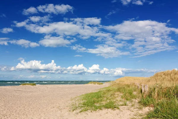 Playa Con Dunas Mar Báltico Cerca Heiligenhafen Schleswig Holstein Playa — Foto de Stock