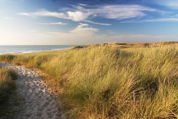 Dűnék Sylt Partján Északi Tengeren Schleswig Holstein Esti Fényben Dűnék — Stock Fotó