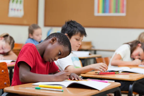 Zijaanzicht Van Gefocuste Werkstudent — Stockfoto