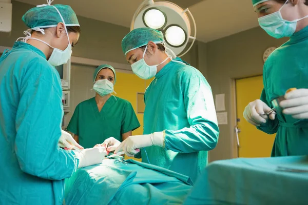 Equipe Cirurgia Concentrada Operando Centro Cirúrgico — Fotografia de Stock