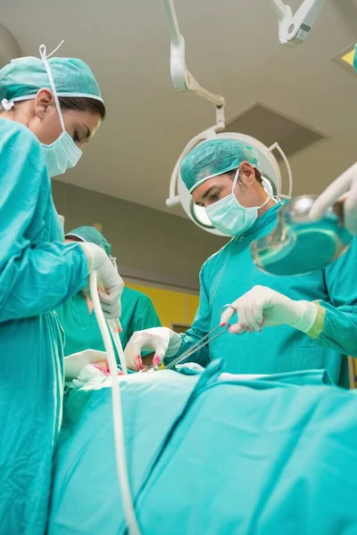 Baixo Ângulo Visão Uma Equipe Cirúrgica Séria Uma Sala Cirurgia — Fotografia de Stock