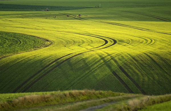 自然景観の絵になる景色 — ストック写真