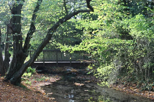 Prachtig Uitzicht Natuur Scene — Stockfoto