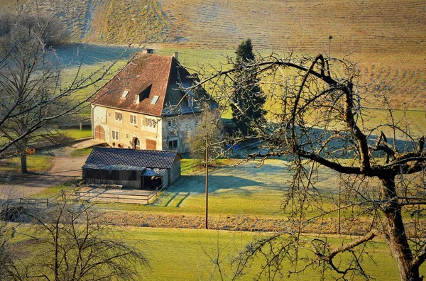 Çiftlikte Kış Güneşinde — Stok fotoğraf