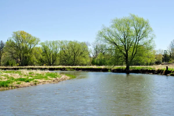 Široká Řeka Jarním Světle Modrém Nebi Zahnutá Stromy — Stock fotografie