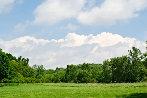 Campo Vacío Que Conduce Bosque Contra Nubes Esponjosas Cielo — Foto de Stock