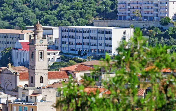 Ozieri Táj Egy Ágon Túl — Stock Fotó