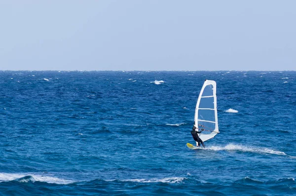 Windsurfen Einem Sonnigen Tag — Stockfoto