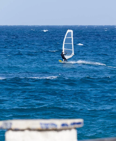 Windsurfen Een Zonnige Dag — Stockfoto