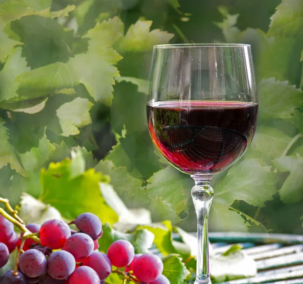 木のテーブルの上にブドウと葉のワインのガラス — ストック写真