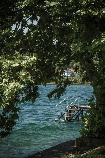 Göl Kenarındaki Bir Ağacın Arkasındaki Iskele Manzarası — Stok fotoğraf