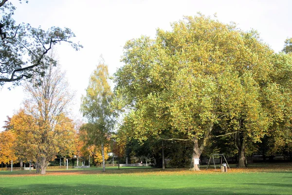 Prachtig Uitzicht Natuur — Stockfoto