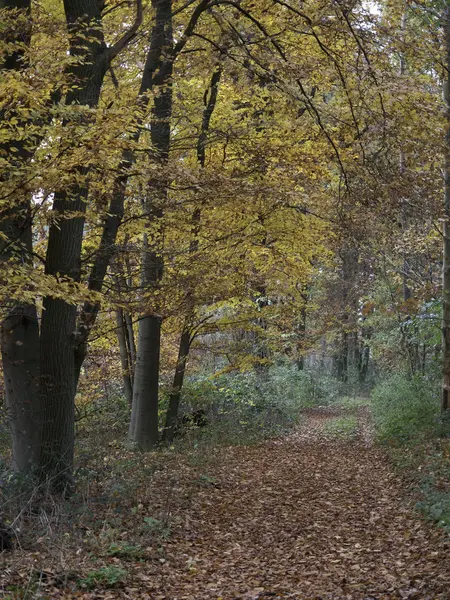 Prachtig Natuurlandschap Achtergrond — Stockfoto