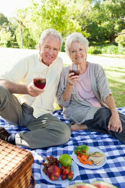 Hombre Mujer Sonrientes Mientras Retienen Copas Vino Durante Picnic —  Fotos de Stock