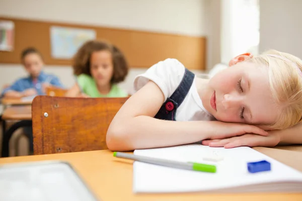 Student Felt Asleep Class — Stock Photo, Image