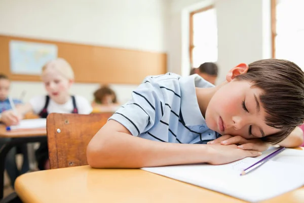 Tired Student Taking Rest His Desk — Stock Photo, Image