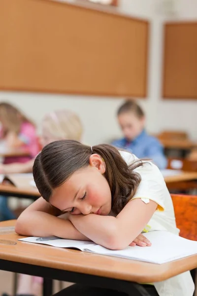 Primary Student Felt Asleep Desk — Stock Photo, Image