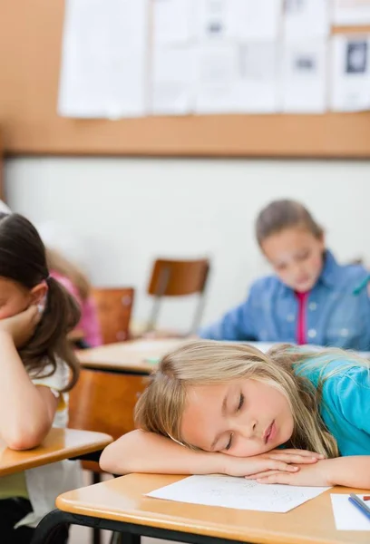 Student Snoozing Class — Stock Photo, Image