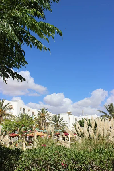 Tunesien Park Hammamet Yasmine — Stockfoto