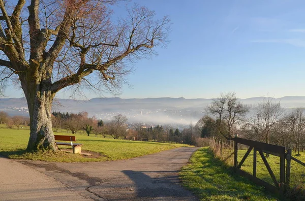 Blick Auf Die Altstadt — Stockfoto