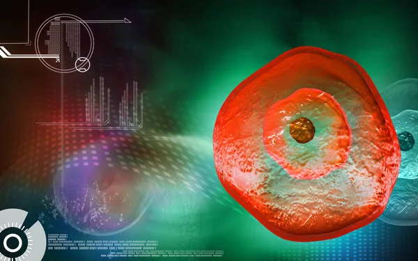 カラーでのOvum細胞のデジタルイラスト — ストック写真