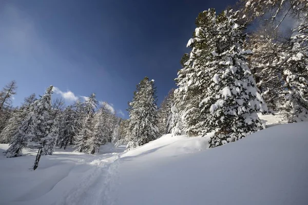 Paisagem Inverno Nos Alpes Após Fortes Nevadas Largo Ângulo Tiro — Fotografia de Stock