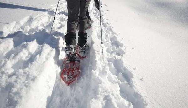 Alpinist Πεζοπορία Χιονισμένη Πλαγιά Γραφικό Ορεινό Τοπίο Ιταλικές Άλπεις — Φωτογραφία Αρχείου