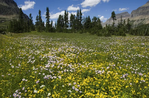 Hermosa Vista Del Paisaje Natural — Foto de Stock