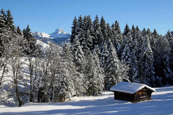 Winteridylle Auf Dem Stoos — Stockfoto