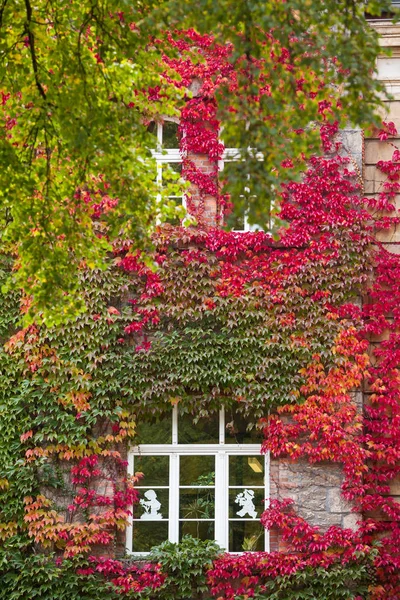 quedlinburg autumnal facade of the youth office