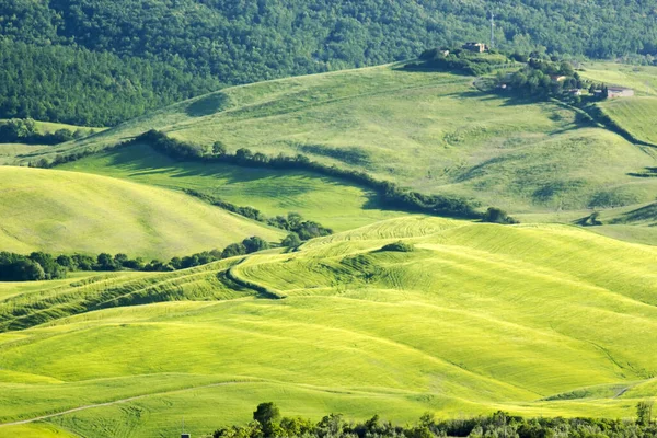 Paisagem Toscana Típica Verde Primavera — Fotografia de Stock