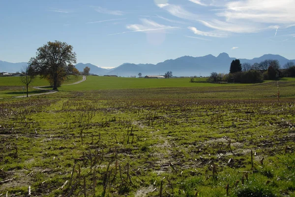 Vue Panoramique Sur Magnifique Paysage Alpin — Photo