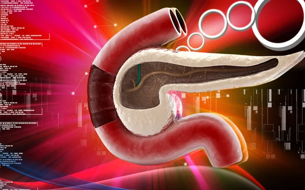 膵臓の色の背景のデジタルイラスト — ストック写真
