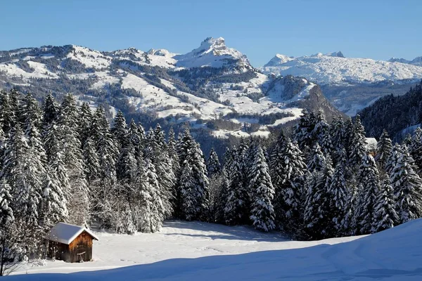 Vista Panorámica Del Hermoso Paisaje Los Alpes — Foto de Stock