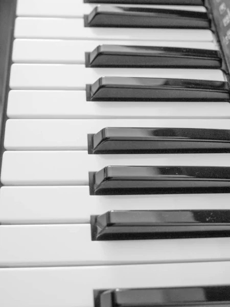 Musical Instrument Piano Music Royalty Free Stock Images