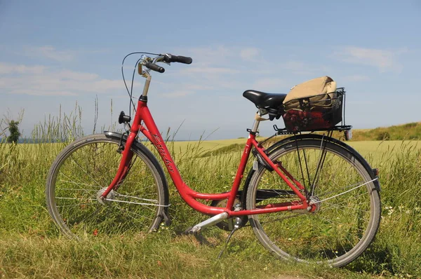 Malerischer Blick Auf Die Landschaft Selektiver Fokus — Stockfoto