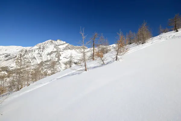 Candid Abseits Der Piste Skipiste Malerischen Hintergrund Der Hohen Berggipfel — Stockfoto