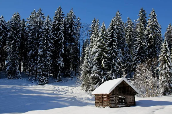 Zimowe Opowieści Stołkach — Zdjęcie stockowe