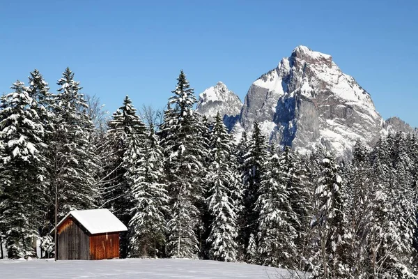 Conto Inverno Nos Stoos — Fotografia de Stock