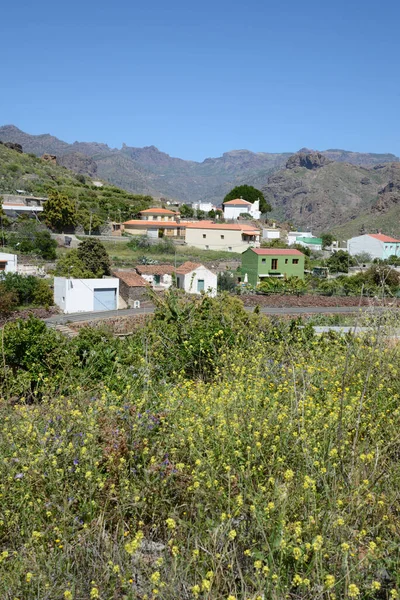 Barranquillo Andres Grootmoeder Canaria — Stockfoto