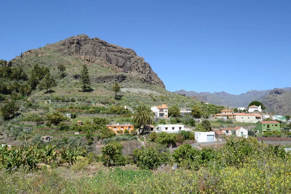 Barranquillo Andres Gran Canaria — стоковое фото