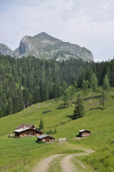 Festői Kilátás Fenséges Alpok Táj — Stock Fotó