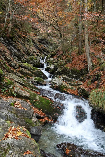 Horský Potok Podzim — Stock fotografie