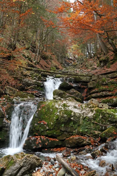 Гірський Потік Восени — стокове фото