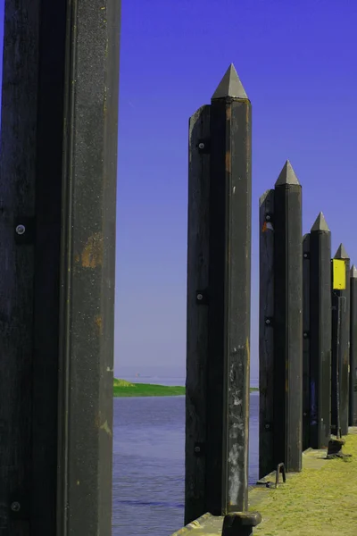 Delfini Nel Canale Kiel — Foto Stock