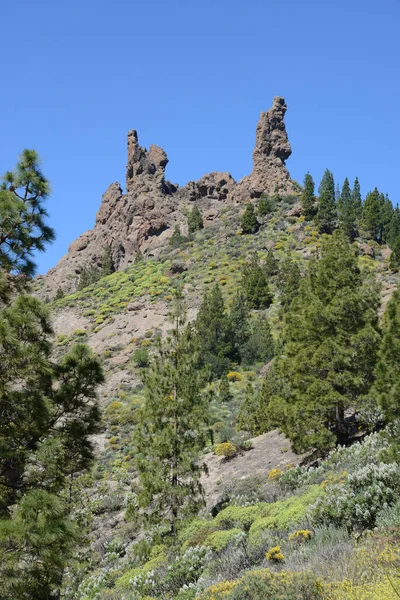 Fraile Gran Canaria — Foto de Stock