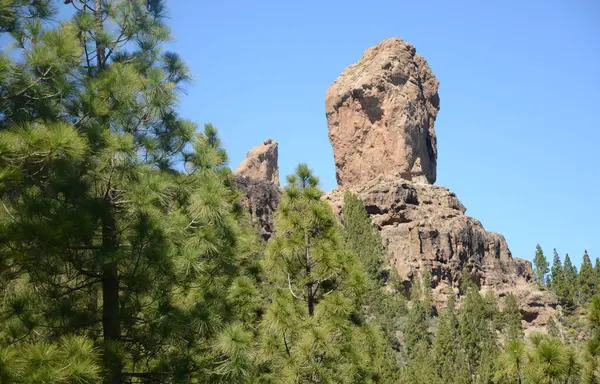 Roque Nublo Gran Canaria — Photo