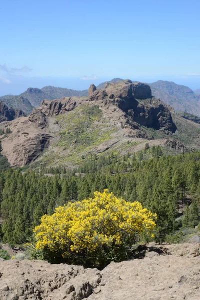 Mountains Gran Canaria — Stock Photo, Image